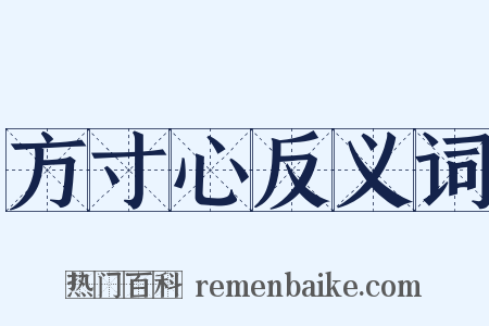 方寸心反义词是什么意思的图片